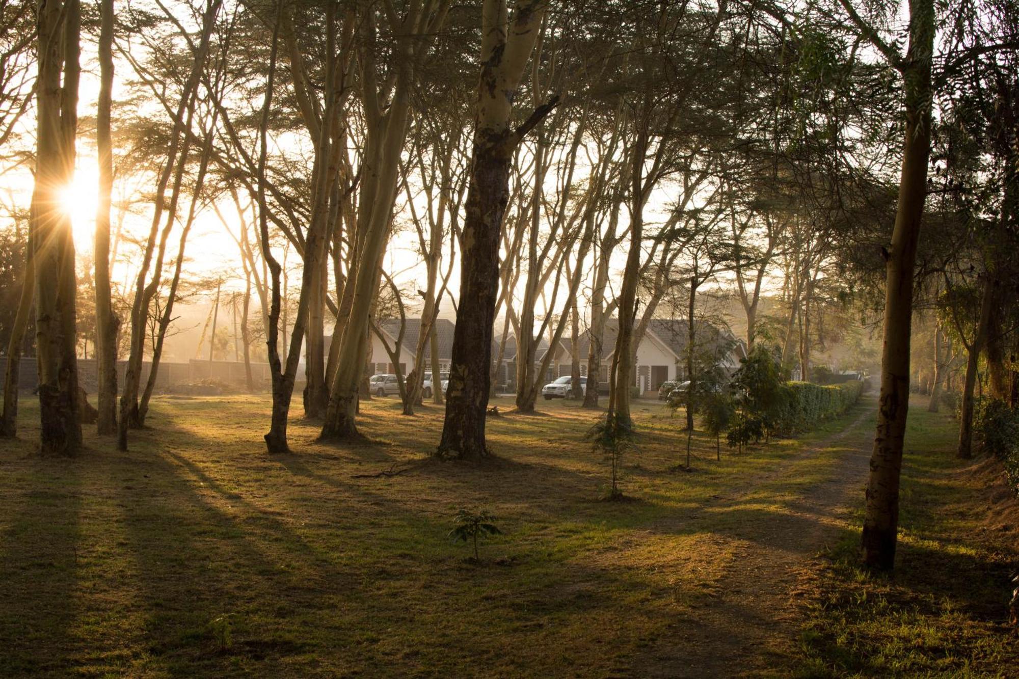 Burch'S Resort Naivasha Camping Екстериор снимка